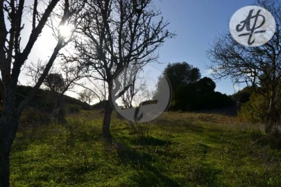 Terreno para Venda em Lagos (São Sebastião e Santa Maria)
