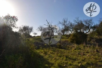 Terreno para Venda em Lagos (São Sebastião e Santa Maria)