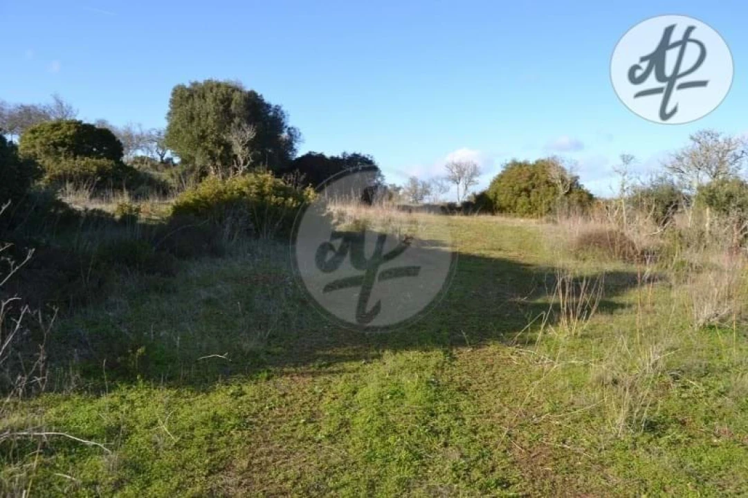 Terreno para Venda em Lagos (São Sebastião e Santa Maria) Foto 2