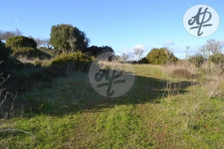 Terreno para Venda em Lagos (São Sebastião e Santa Maria) Foto 2