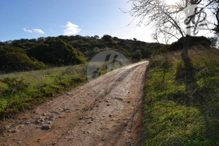 Terreno para Venda em Lagos (São Sebastião e Santa Maria) Foto 5