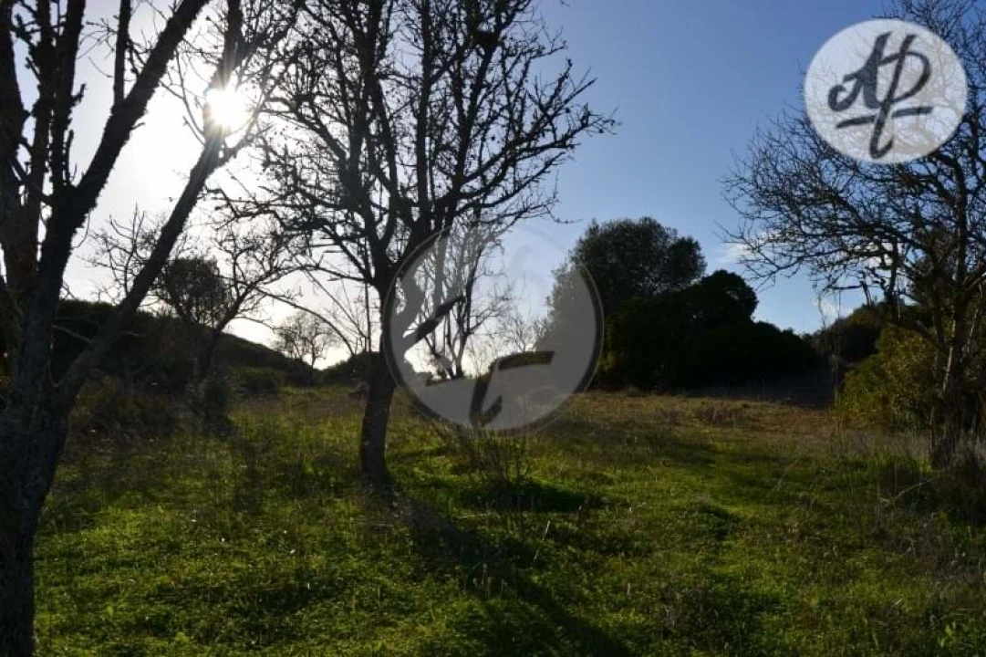 Terreno para Venda em Lagos (São Sebastião e Santa Maria) Foto 3