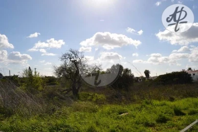 Terreno para Venda em Luz