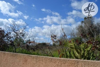 Terreno para Venda em Luz
