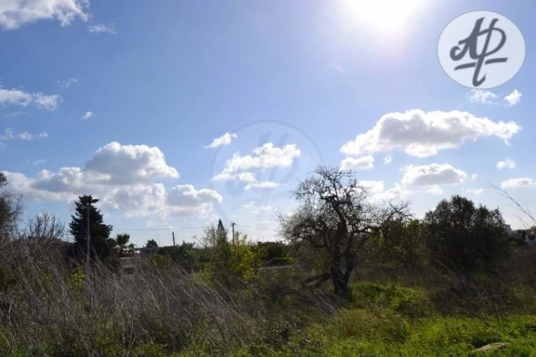 Terreno para Venda em Luz Foto 3