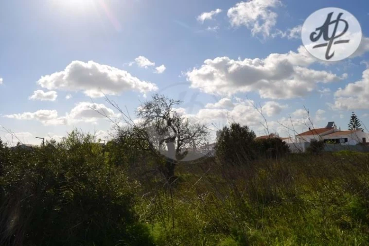 Terreno para Venda em Luz Foto 5