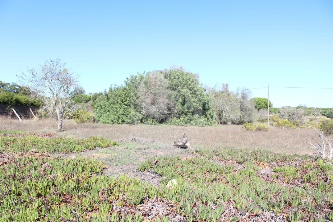 Terreno para Venda em Lagos (São Sebastião e Santa Maria) Foto 6