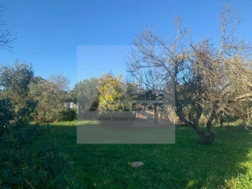Terreno para Venda em Lagos (São Sebastião e Santa Maria)
