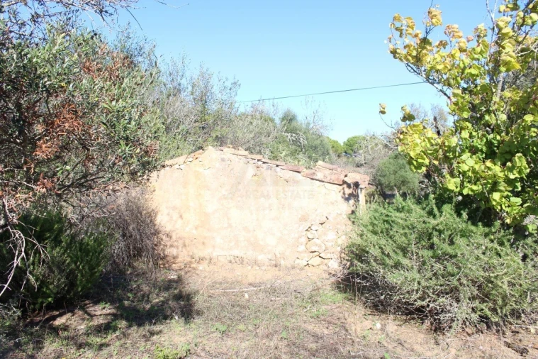 Terreno para Venda em Lagos (São Sebastião e Santa Maria) Foto 7