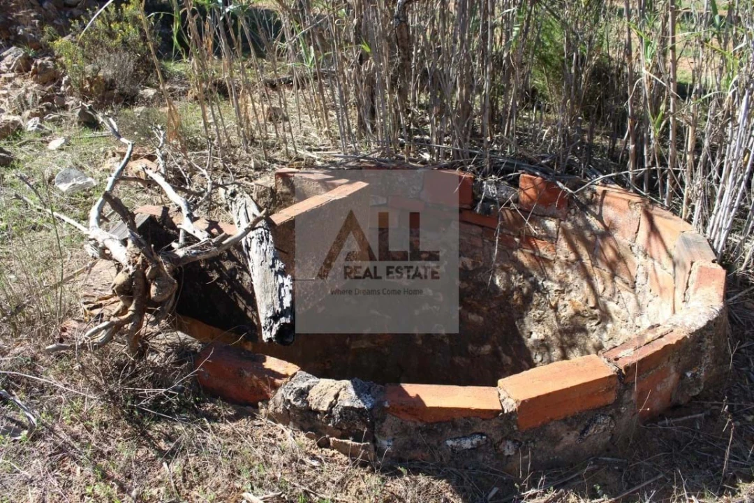 Terreno para Venda em Lagos (São Sebastião e Santa Maria) Foto 8