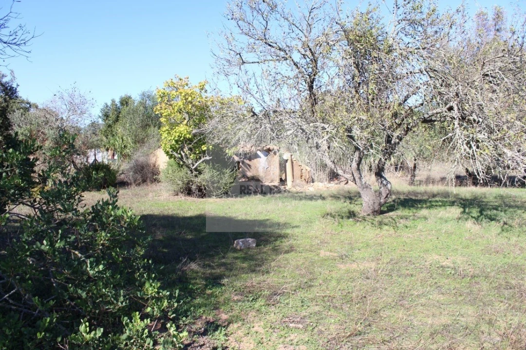 Terreno para Venda em Lagos (São Sebastião e Santa Maria) Foto 1