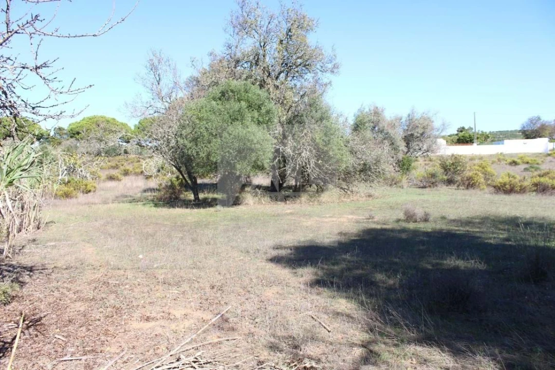 Terreno para Venda em Lagos (São Sebastião e Santa Maria) Foto 10