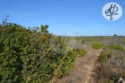 Terreno para Venda em Budens