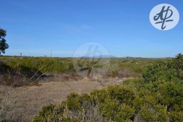 Terreno para Venda em Budens Foto 8