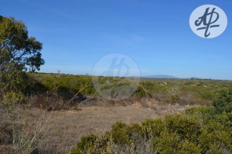 Terreno para Venda em Budens Foto 2