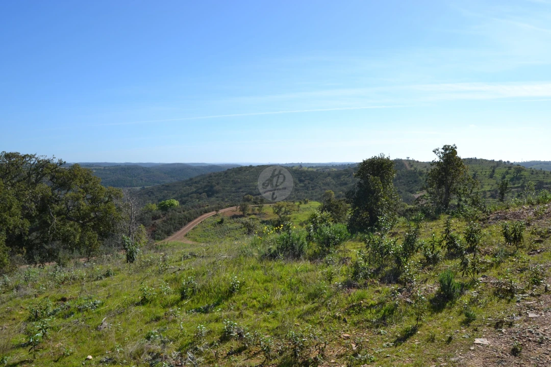 Terreno para Venda em Lagos (São Sebastião e Santa Maria) Foto 3