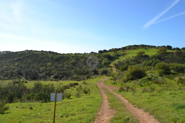 Terreno para Venda em Lagos (São Sebastião e Santa Maria) Foto 14