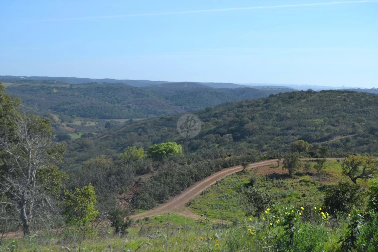 Terreno para Venda em Lagos (São Sebastião e Santa Maria) Foto 20