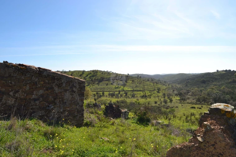 Terreno para Venda em Lagos (São Sebastião e Santa Maria) Foto 4