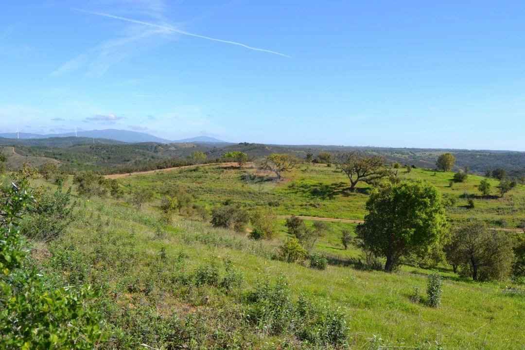 Terreno para Venda em Lagos (São Sebastião e Santa Maria) Foto 18