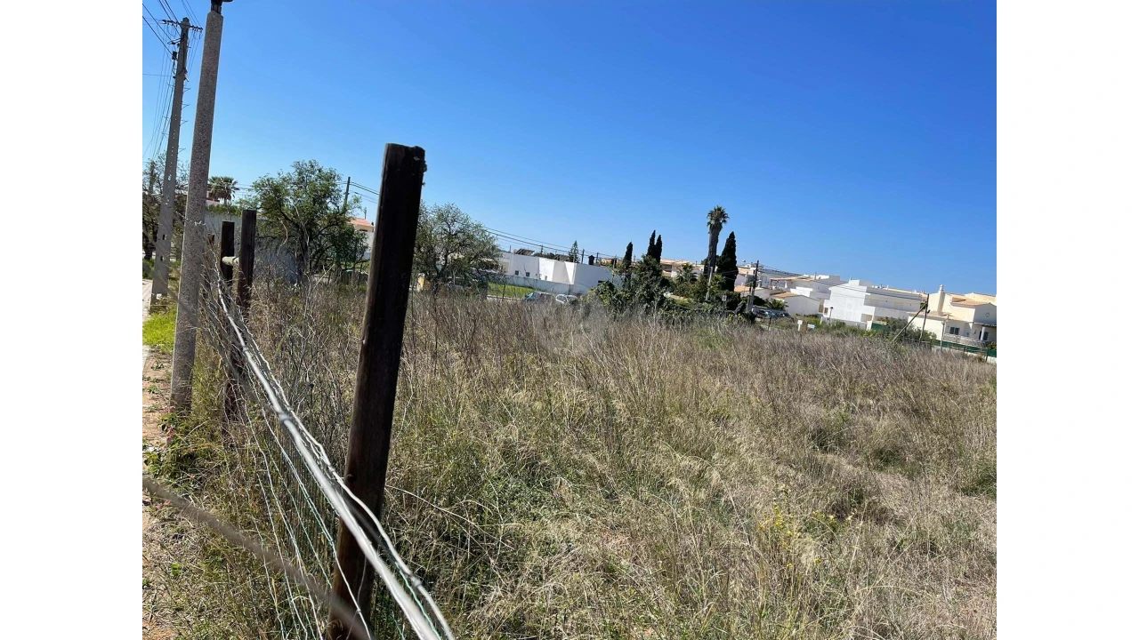 Negócio para Venda em Luz Foto 2