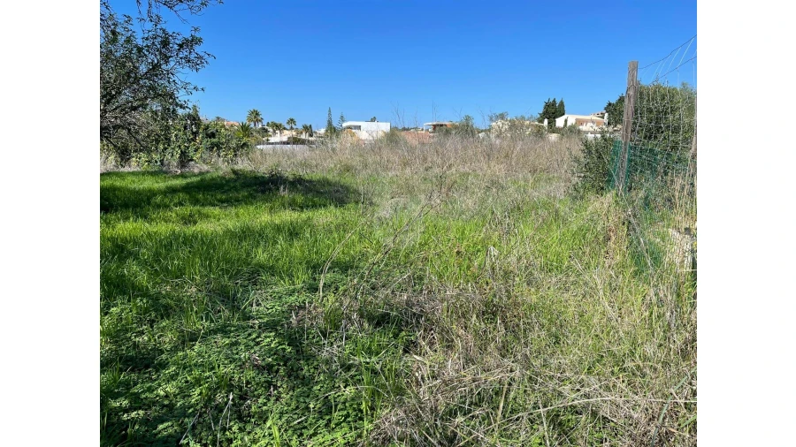 Negócio para Venda em Luz Foto 1