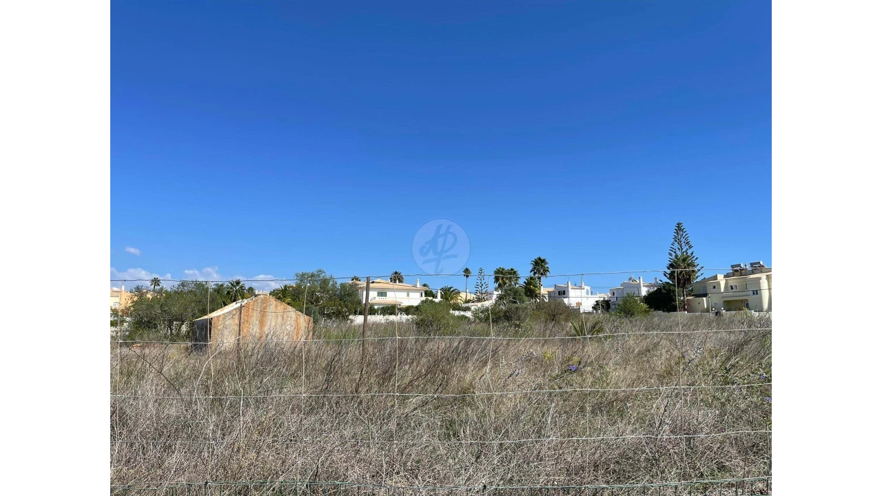 Negócio para Venda em Luz Foto 3