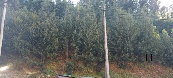 Terreno para Venda em Oliveira do Douro