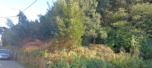 Terreno para Venda em Oliveira do Douro