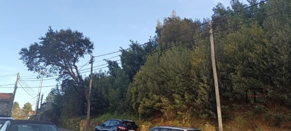 Terreno para Venda em Oliveira do Douro