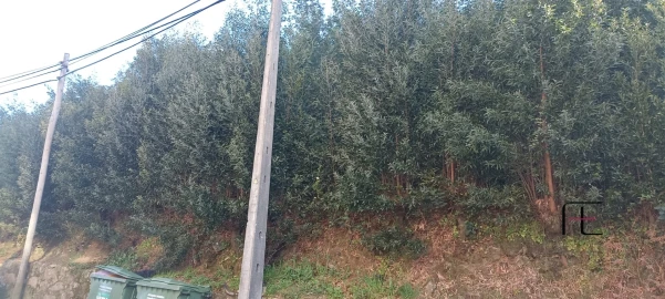 Terreno para Venda em Oliveira do Douro