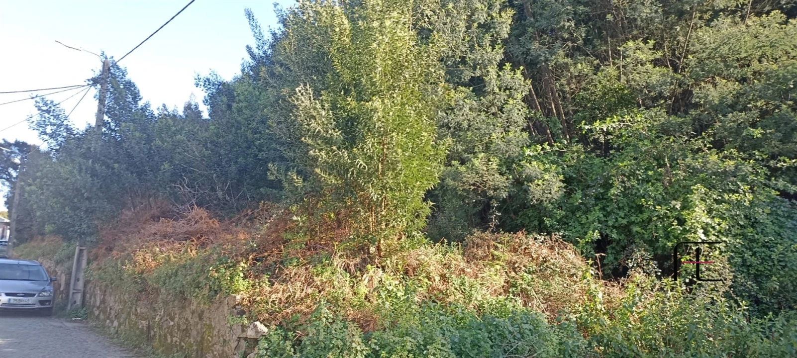 Terreno para Venda em Oliveira do Douro Foto 3
