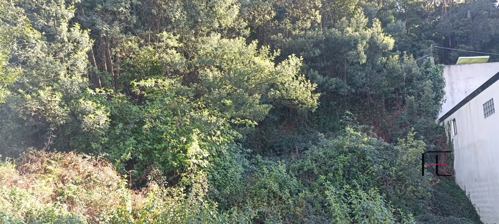 Terreno para Venda em Oliveira do Douro Foto 2