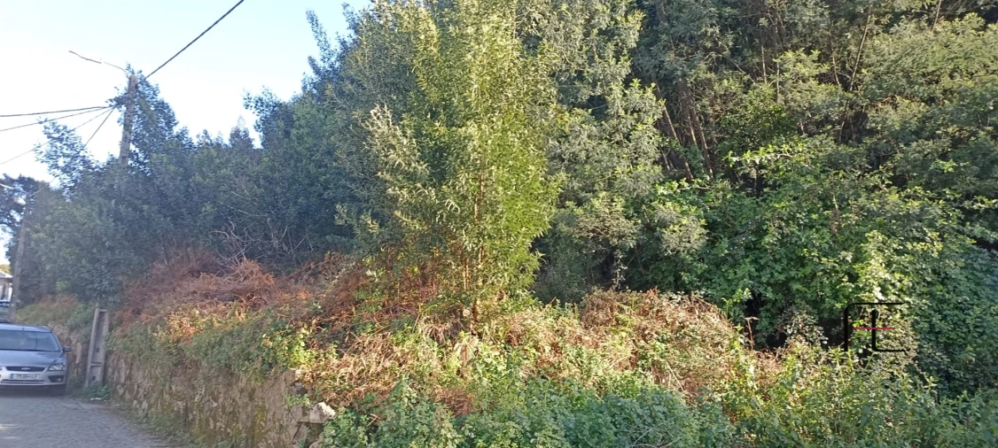 Terreno para Venda em Oliveira do Douro Foto 3