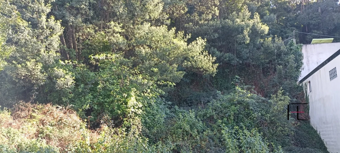 Terreno para Venda em Oliveira do Douro Foto 2