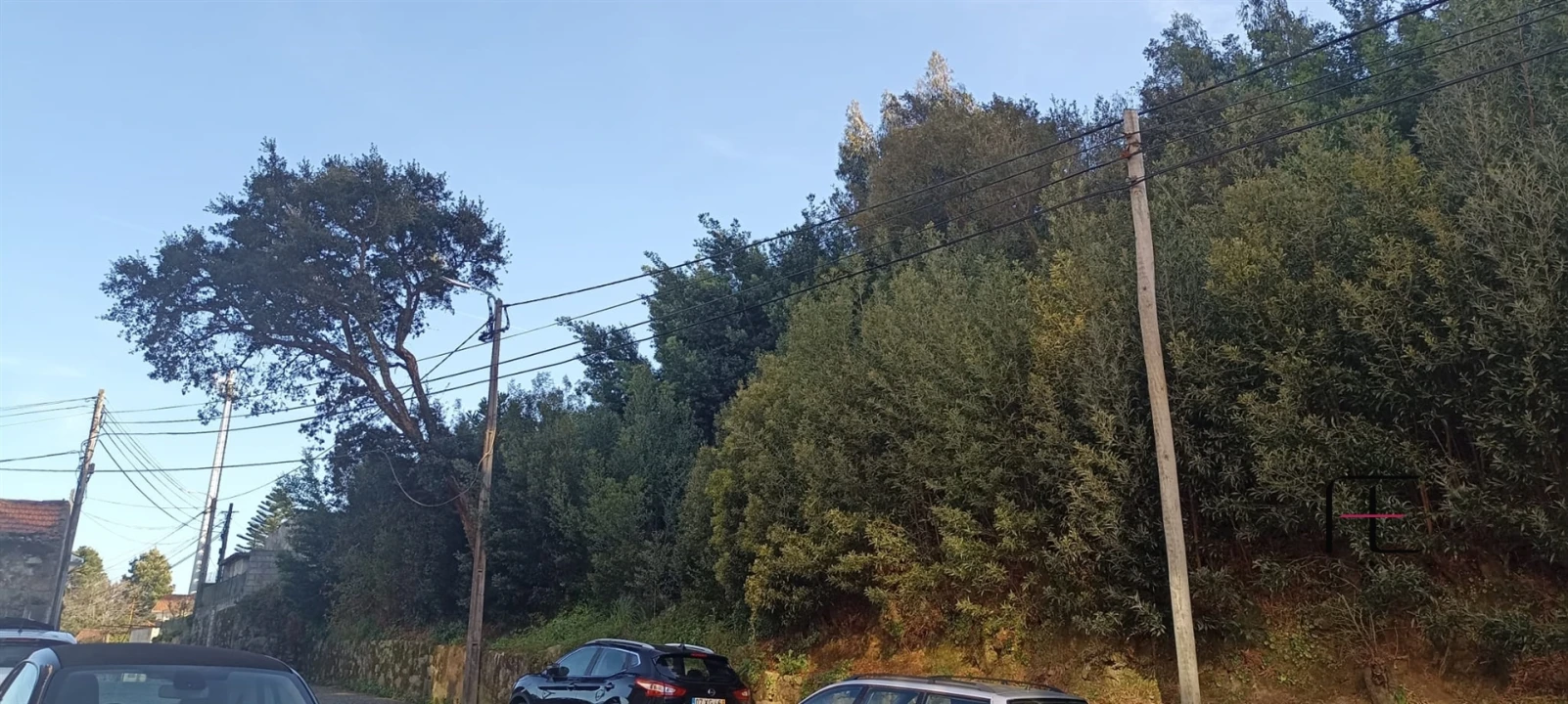 Terreno para Venda em Oliveira do Douro Foto 5