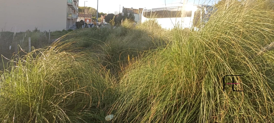 Terreno para Venda em Avintes Foto 5