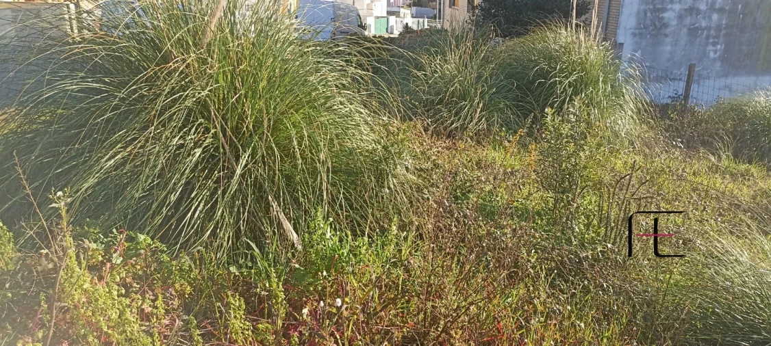 Terreno para Venda em Avintes Foto 6