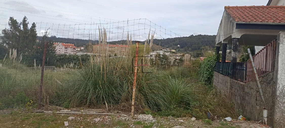 Terreno para Venda em Canelas Foto 3