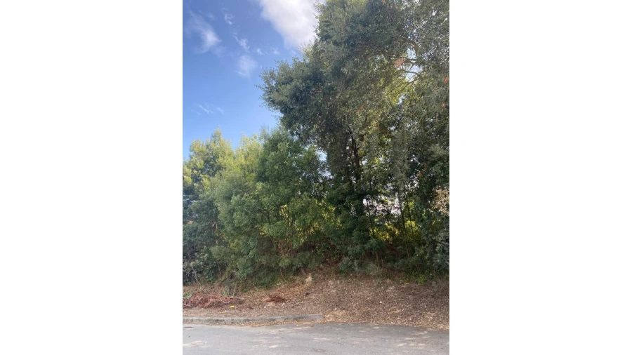 Terreno para Venda em Serzedo e Perosinho Foto 6
