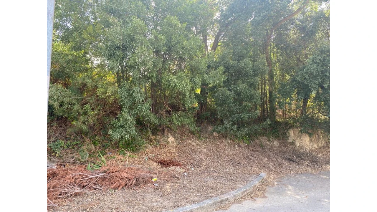 Terreno para Venda em Serzedo e Perosinho Foto 2