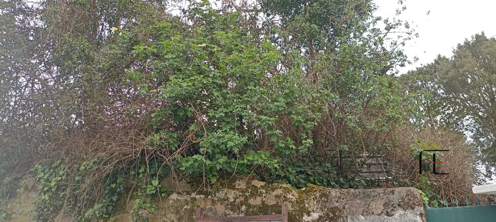 Terreno para Venda em Mafamude e Vilar do Paraíso Foto 1