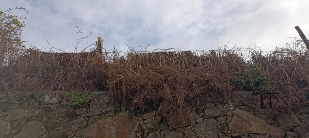 Terreno para Venda em Mafamude e Vilar do Paraíso