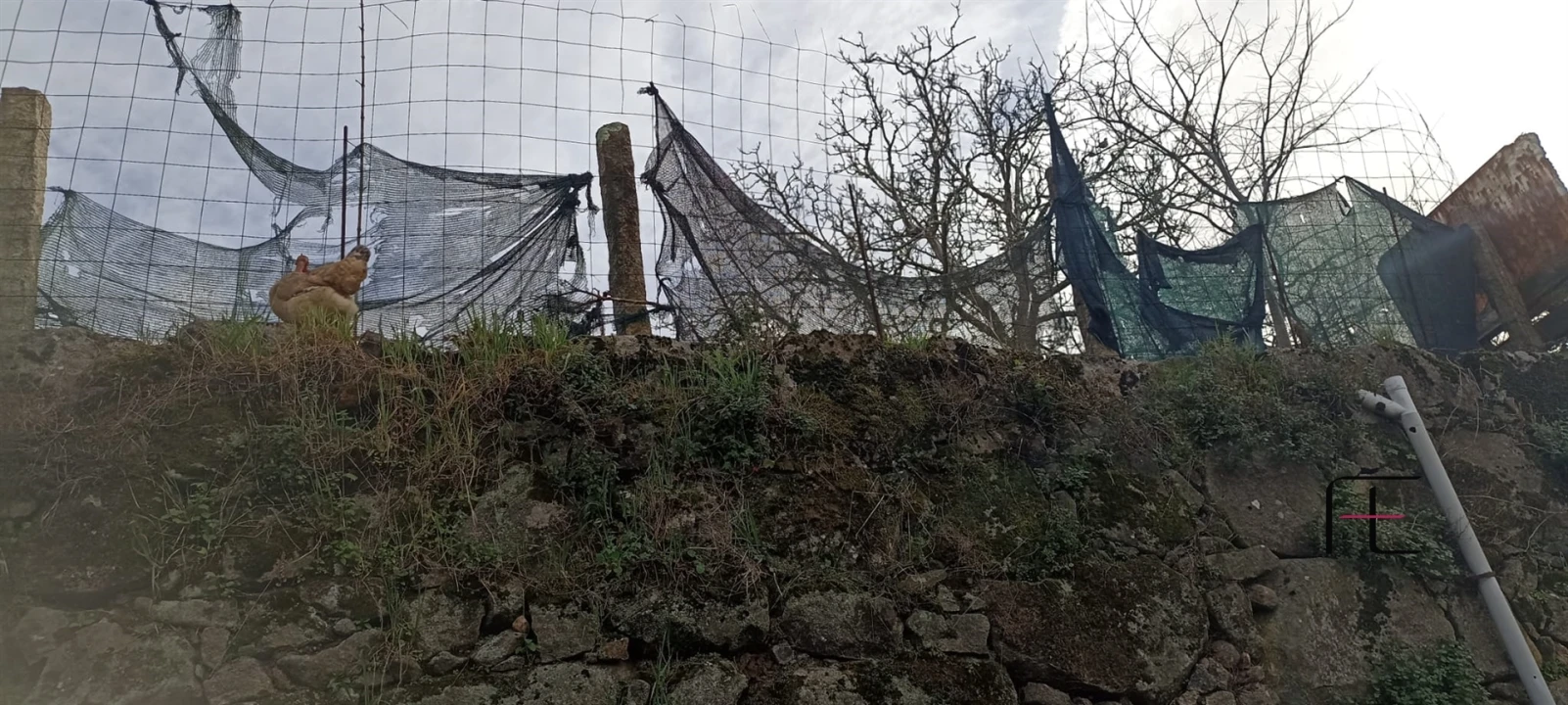Terreno para Venda em Mafamude e Vilar do Paraíso Foto 6
