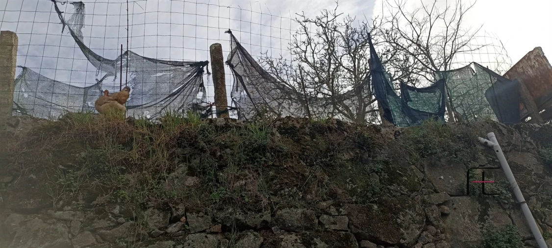 Terreno para Venda em Mafamude e Vilar do Paraíso Foto 6