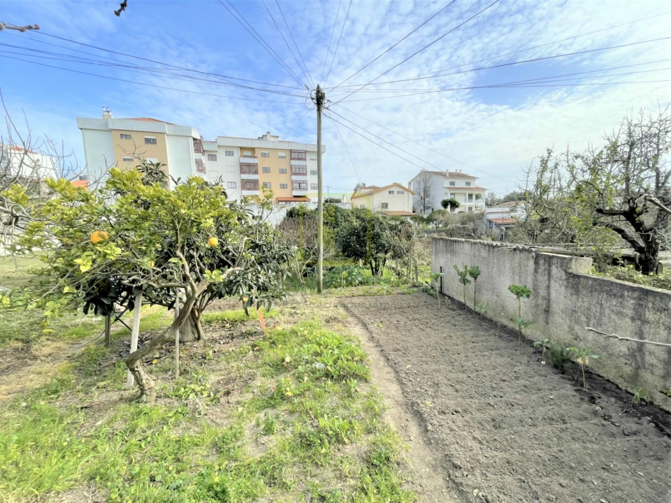 Terreno para Venda em Tavarede Foto 3