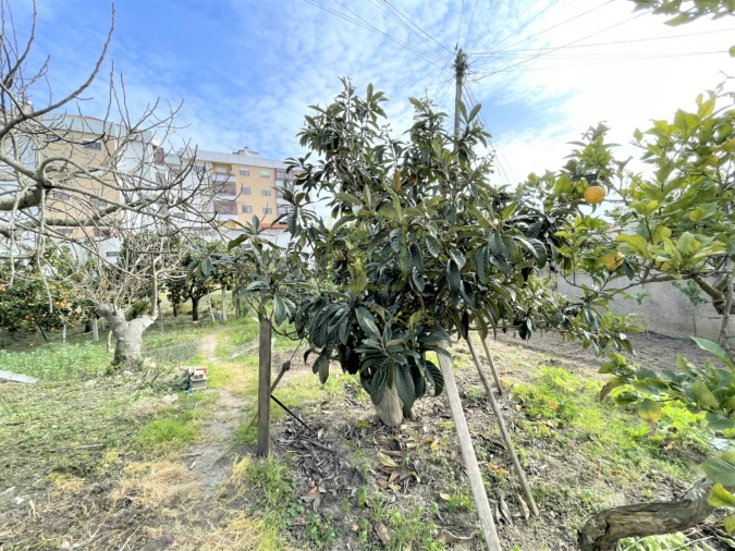 Terreno para Venda em Tavarede Foto 2