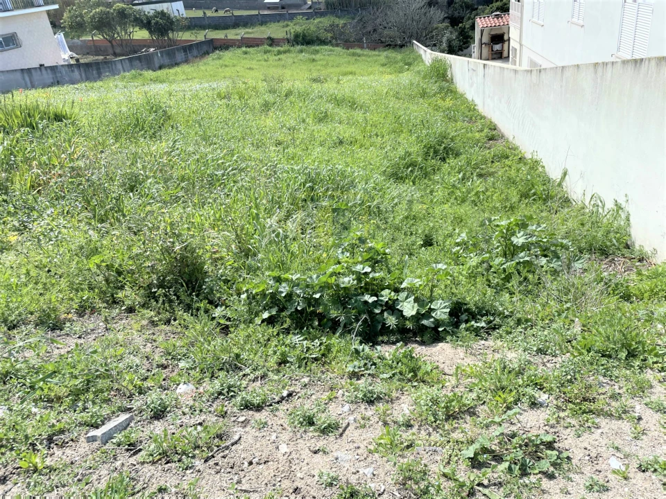 Terreno para Venda em Buarcos Foto 2