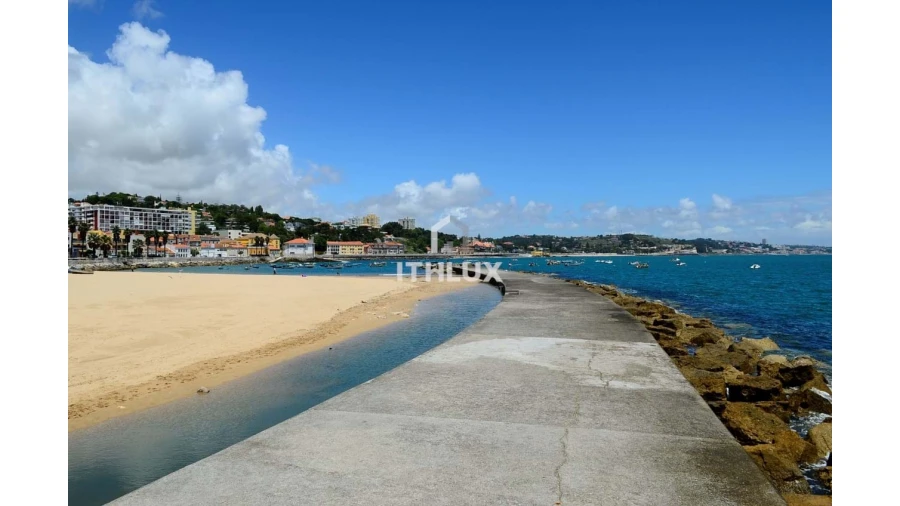Terreno Agricola ou Rústico para Venda em Porto Salvo Foto 12