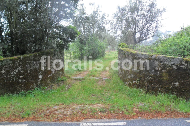 Quinta T0 para Venda em Alcafache Foto 2